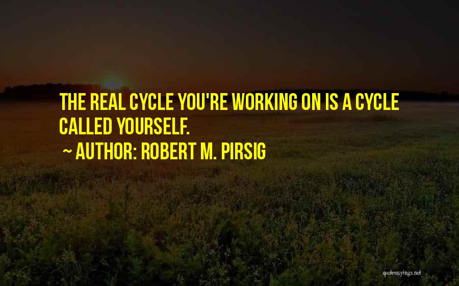 Robert M. Pirsig Quotes 1347675