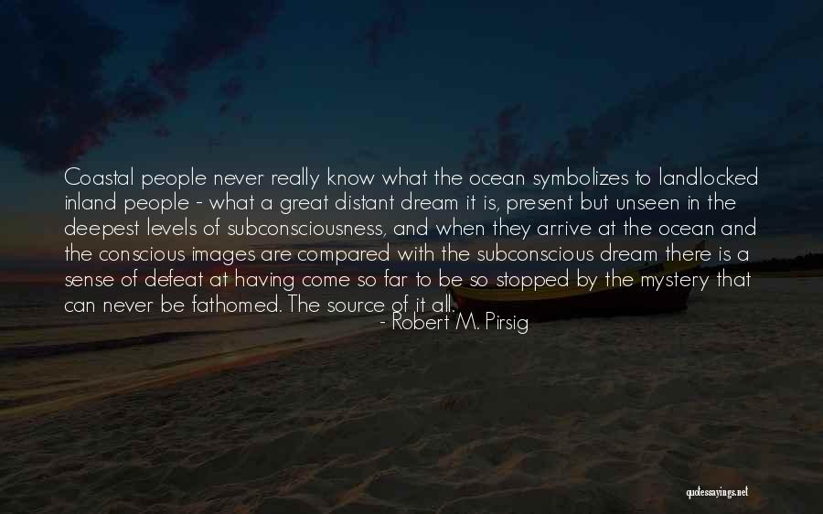 Robert M. Pirsig Quotes 1414636