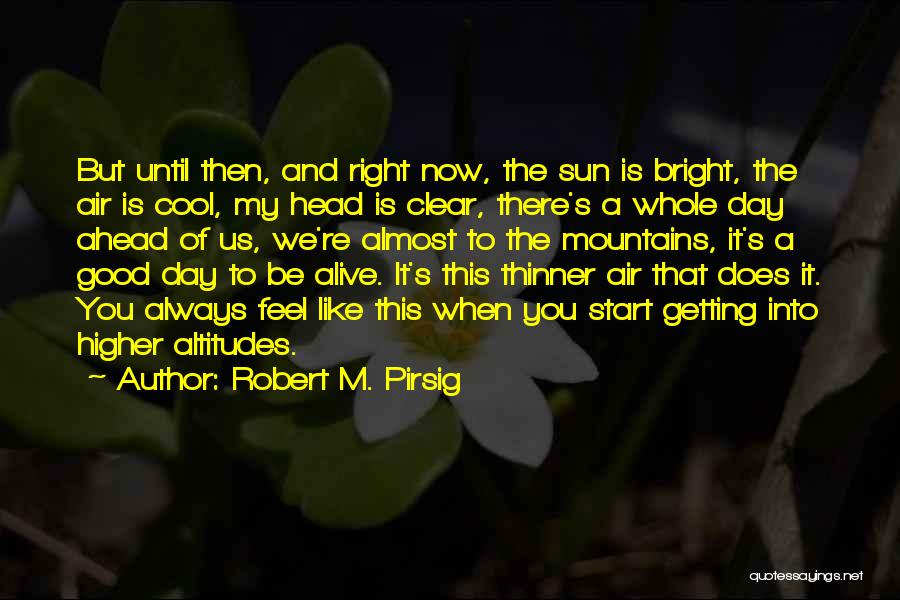 Robert M. Pirsig Quotes 281355