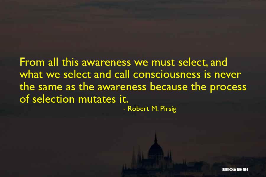 Robert M. Pirsig Quotes 473443 Robert M. Pirsig Quotes 473443