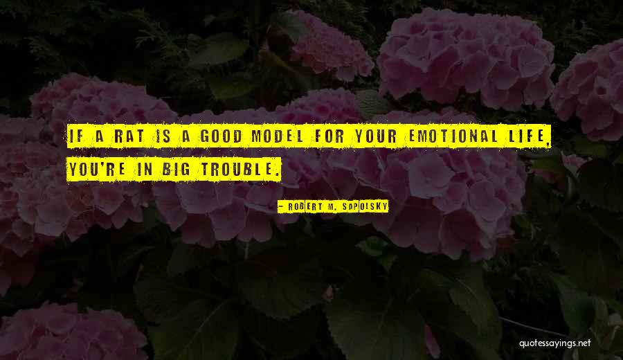 Robert M. Sapolsky Quotes 1493615 Robert M. Sapolsky Quotes 1493615