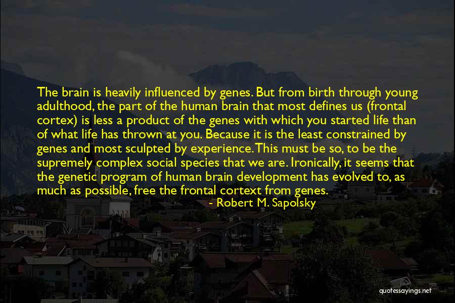 Robert M. Sapolsky Quotes 458559 Robert M. Sapolsky Quotes 458559