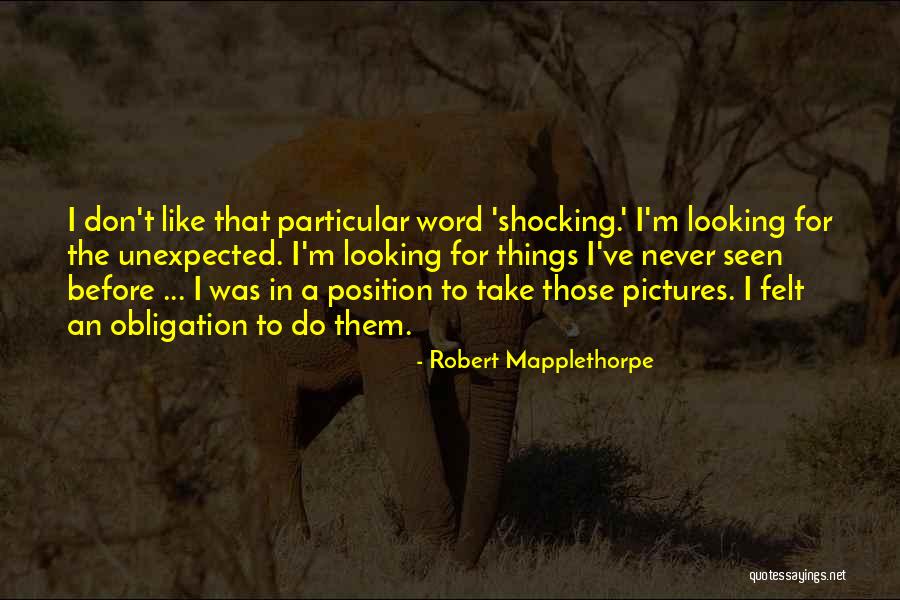 Robert Mapplethorpe Quotes 1071814