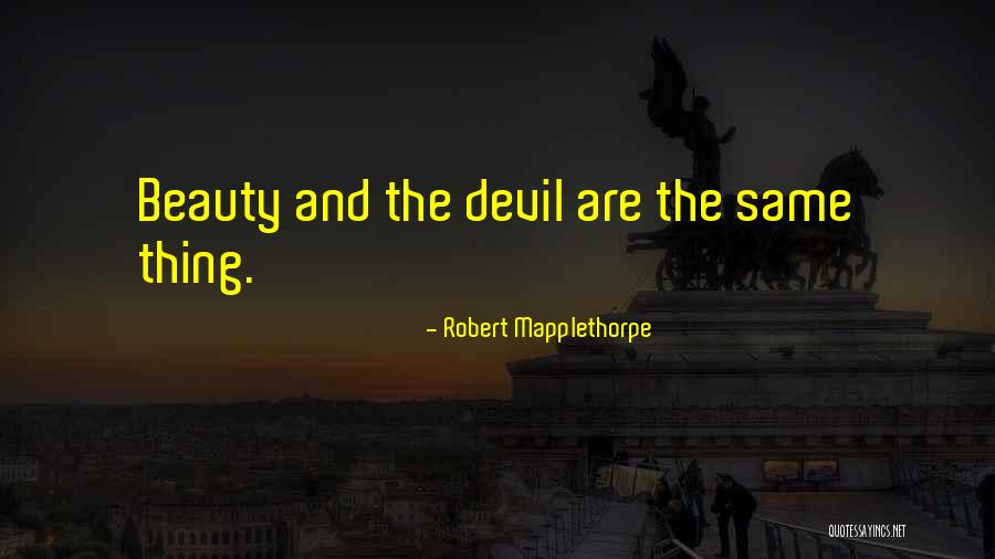 Robert Mapplethorpe Quotes 1308118