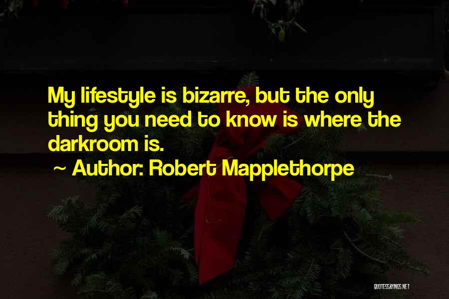 Robert Mapplethorpe Quotes 1669568