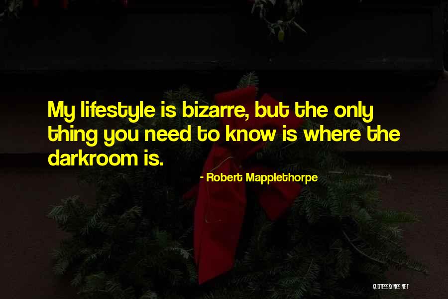 Robert Mapplethorpe Quotes 1669568