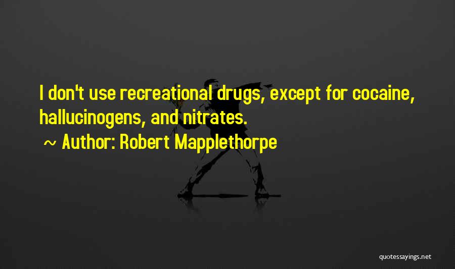 Robert Mapplethorpe Quotes 342850