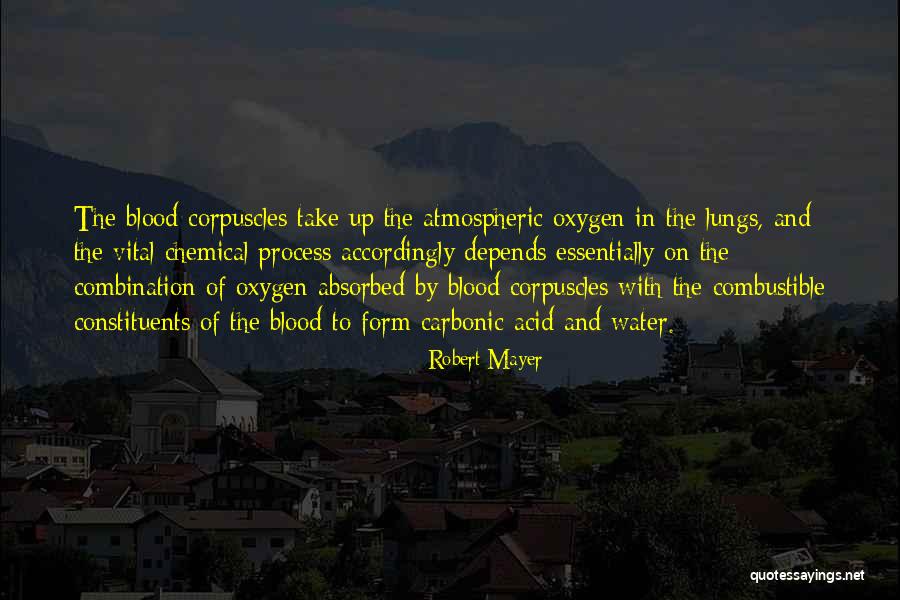 Robert Mayer Quotes 1460503