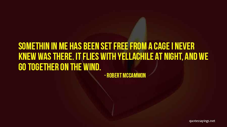 Robert McCammon Quotes 1525225