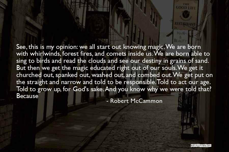 Robert McCammon Quotes 2102294