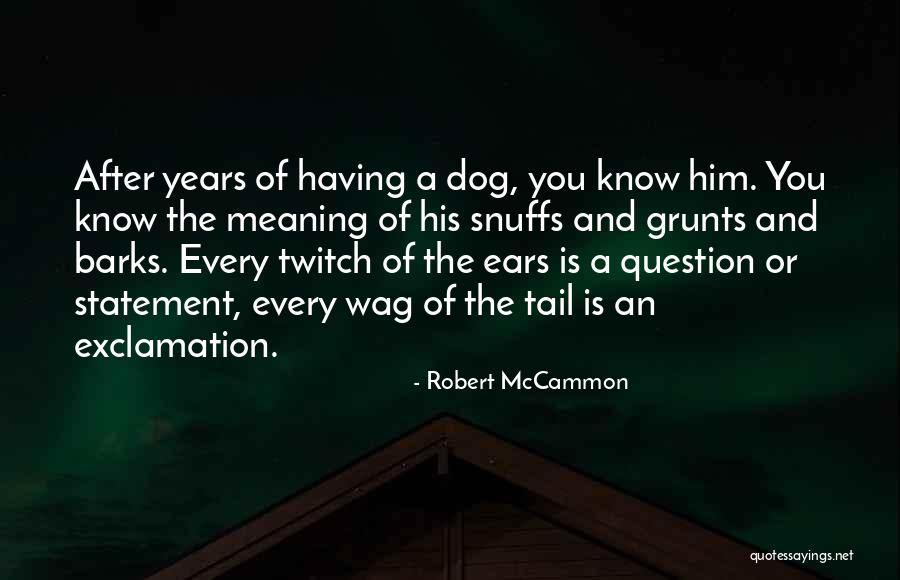 Robert McCammon Quotes 819146