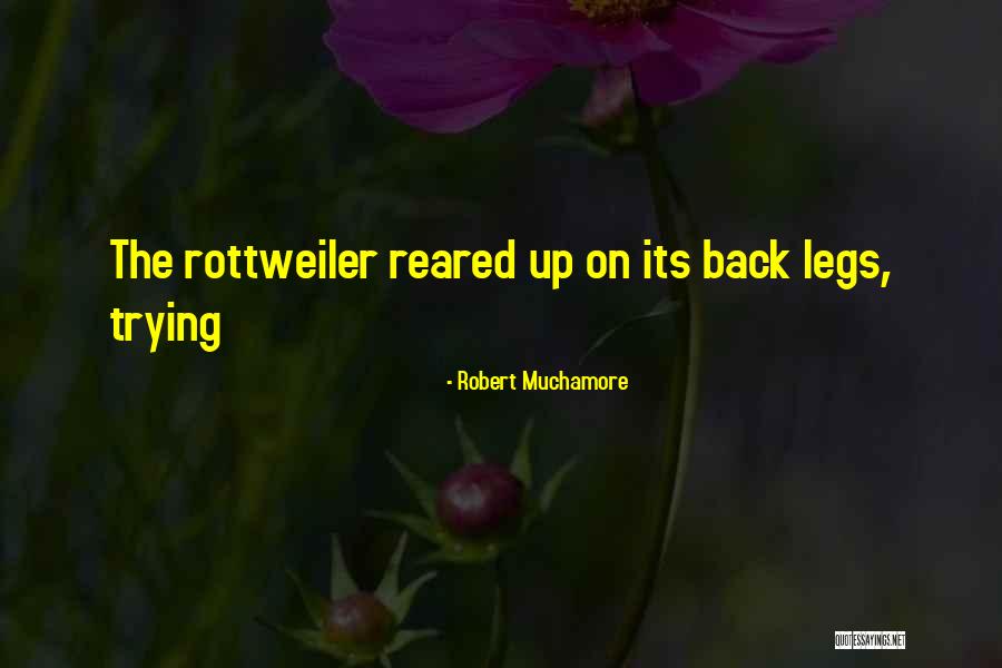 Robert Muchamore Quotes 75719 Robert Muchamore Quotes 75719
