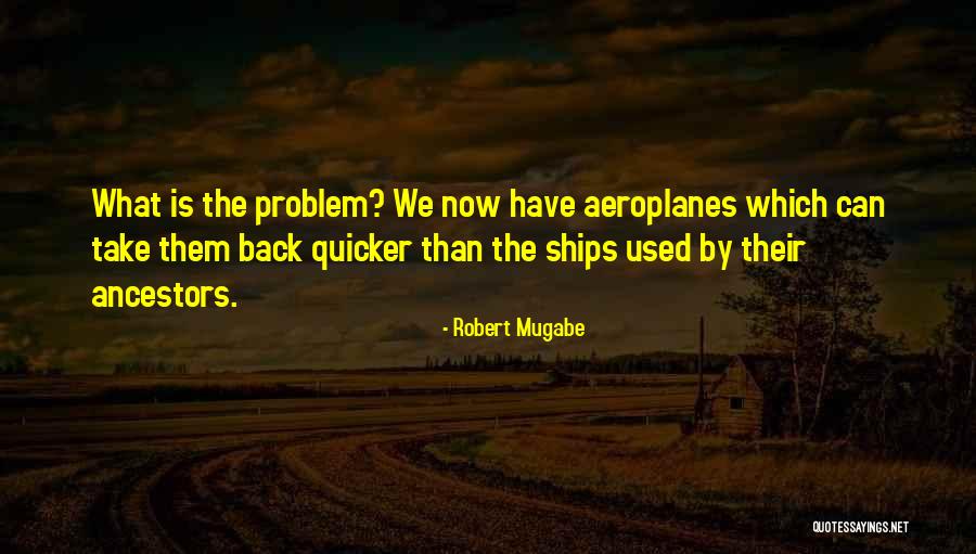 Robert Mugabe Quotes 1388413