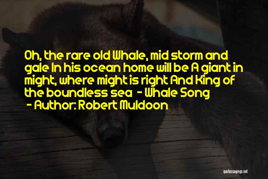 Robert Muldoon Quotes 606266