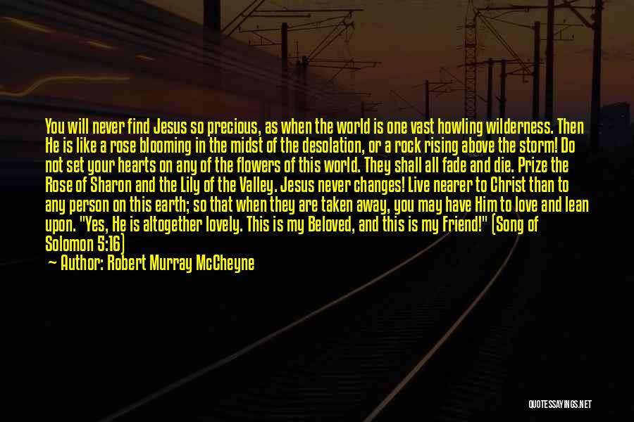 Robert Murray McCheyne Quotes 1139821