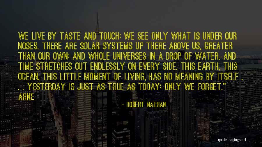 Robert Nathan Quotes 1461655