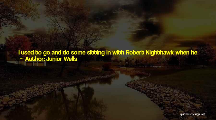 Robert Nighthawk Quotes By Junior Wells