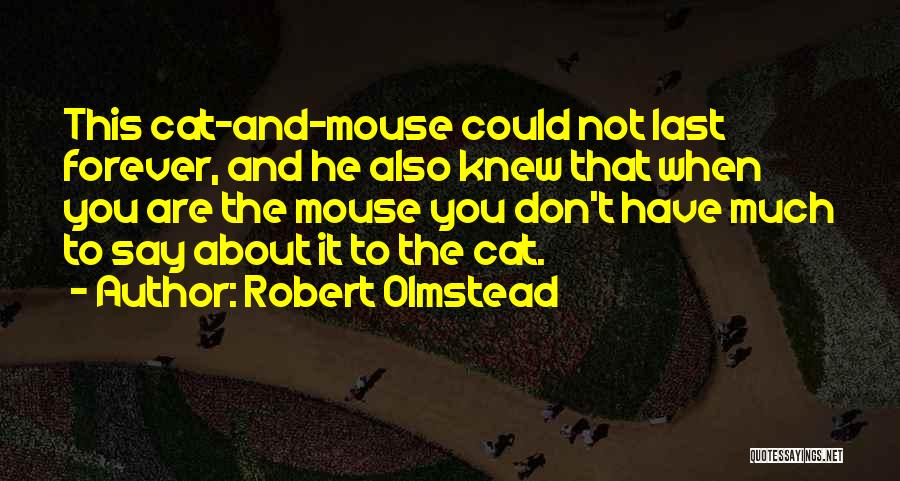 Robert Olmstead Quotes 1928660