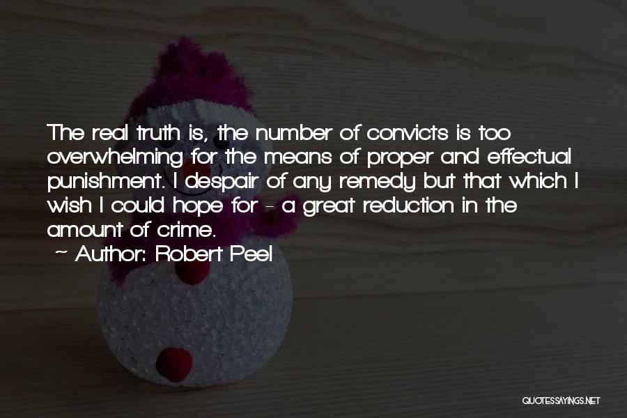 Robert Peel Quotes 162156