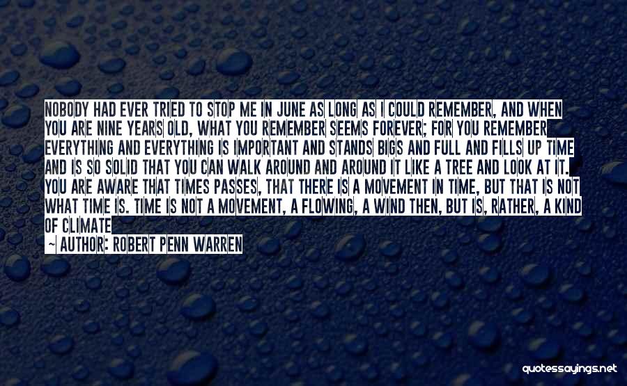 Robert Penn Warren Quotes 946580