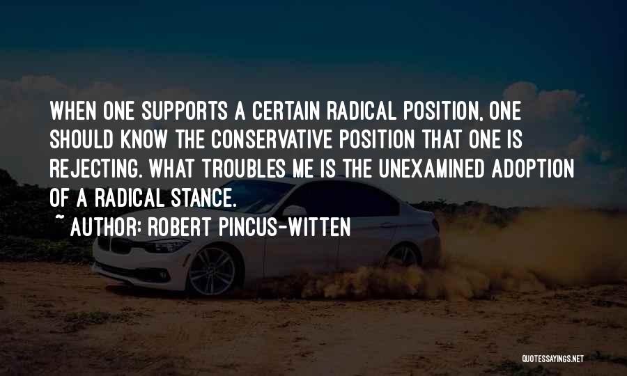 Robert Pincus-Witten Quotes 669331