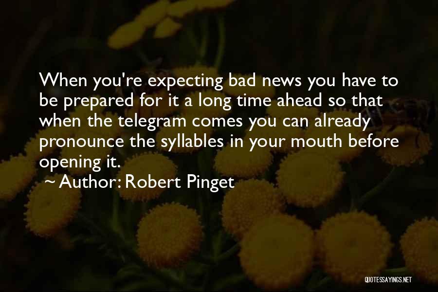 Robert Pinget Quotes 1954780