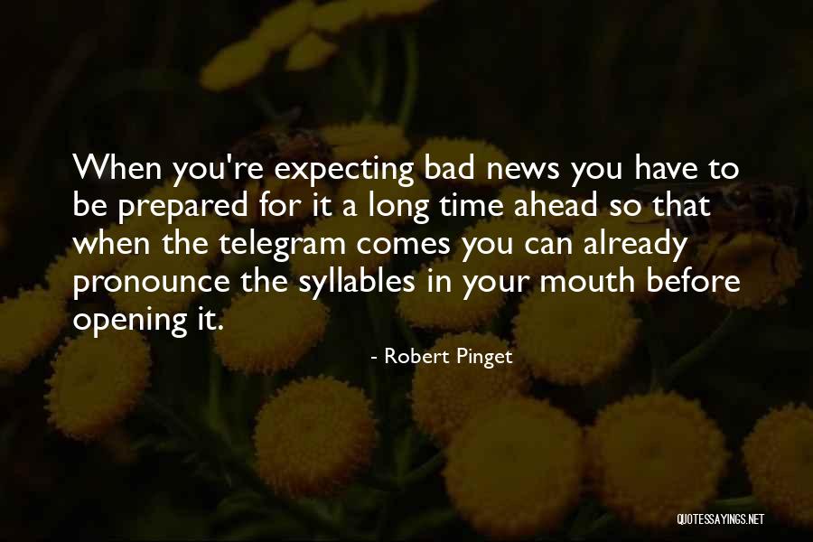 Robert Pinget Quotes 1954780