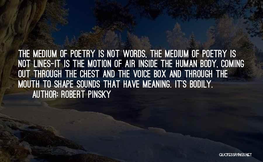 Robert Pinsky Quotes 628055