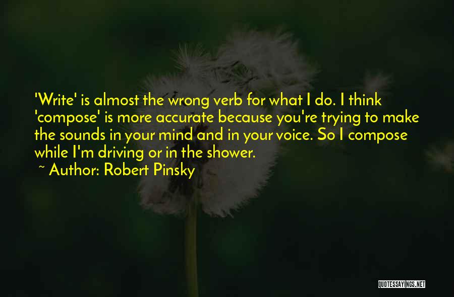 Robert Pinsky Quotes 637144