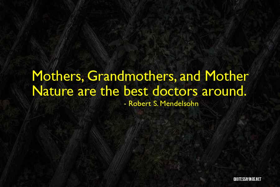 Robert S. Mendelsohn Quotes 699169