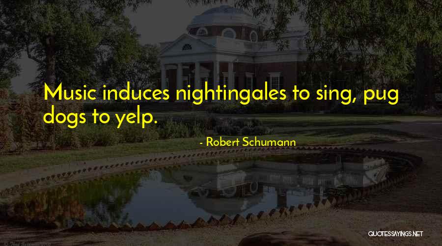 Robert Schumann Quotes 1082951