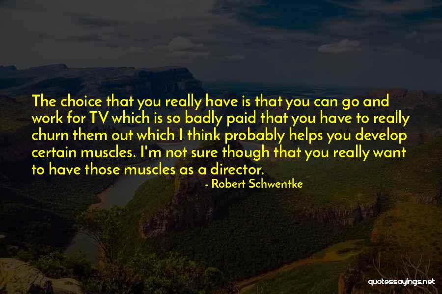 Robert Schwentke Quotes 1472253