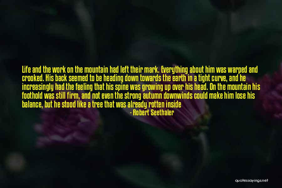 Robert Seethaler Quotes 1911042