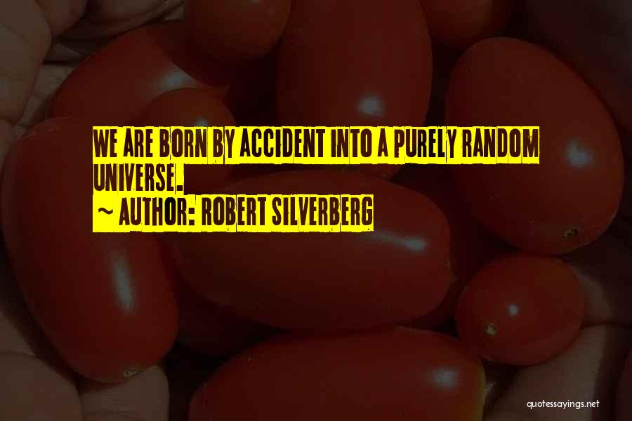 Robert Silverberg Quotes 2045675