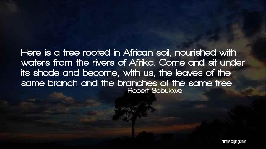 Robert Sobukwe Quotes 632619