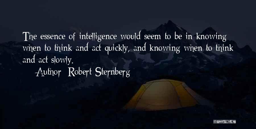 Robert Sternberg Quotes 1423229