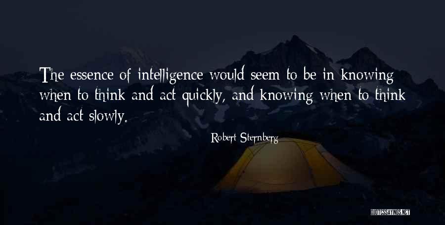 Robert Sternberg Quotes 1423229