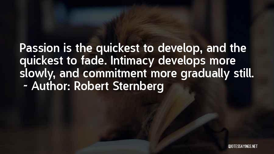 Robert Sternberg Quotes 1644619