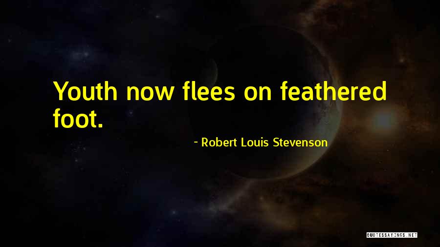 Robert Stevenson Quotes By Robert Louis Stevenson