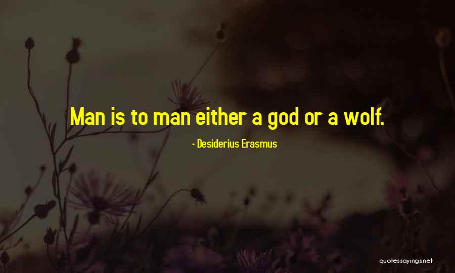 Robert Stuberg Quotes By Desiderius Erasmus Robert Stuberg Quotes By Desiderius Erasmus