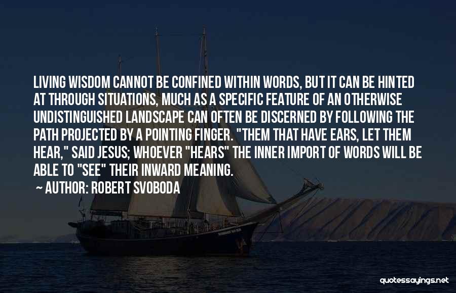 Robert Svoboda Quotes 2105991