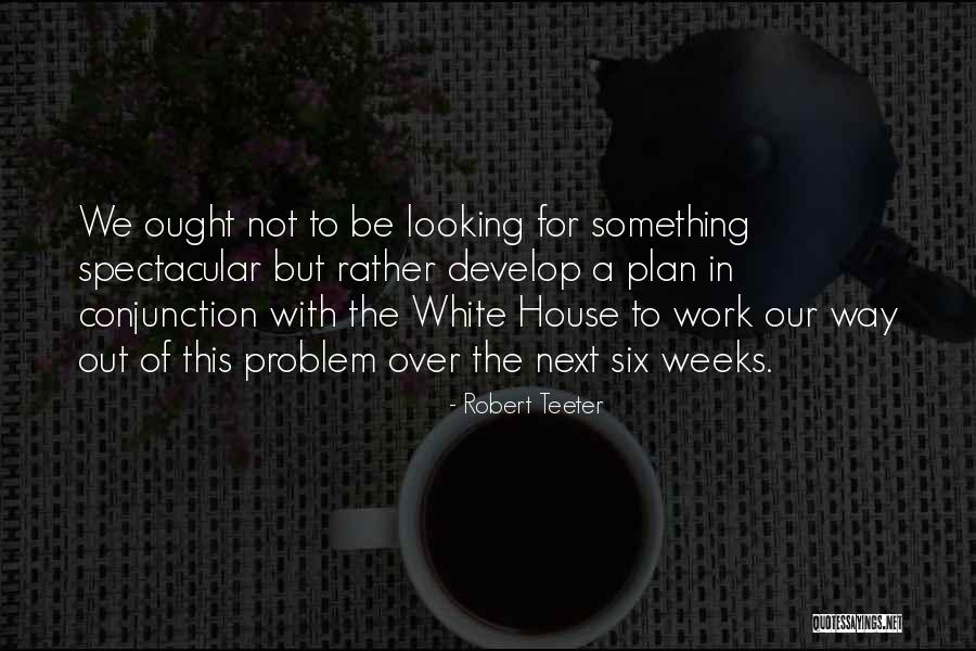 Robert Teeter Quotes 1348390