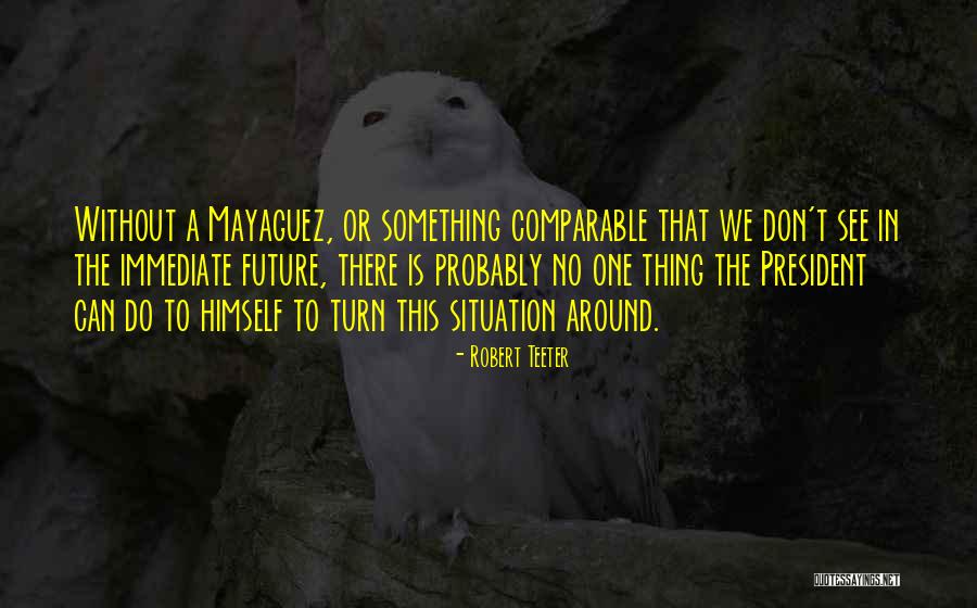 Robert Teeter Quotes 1676357 Robert Teeter Quotes 1676357