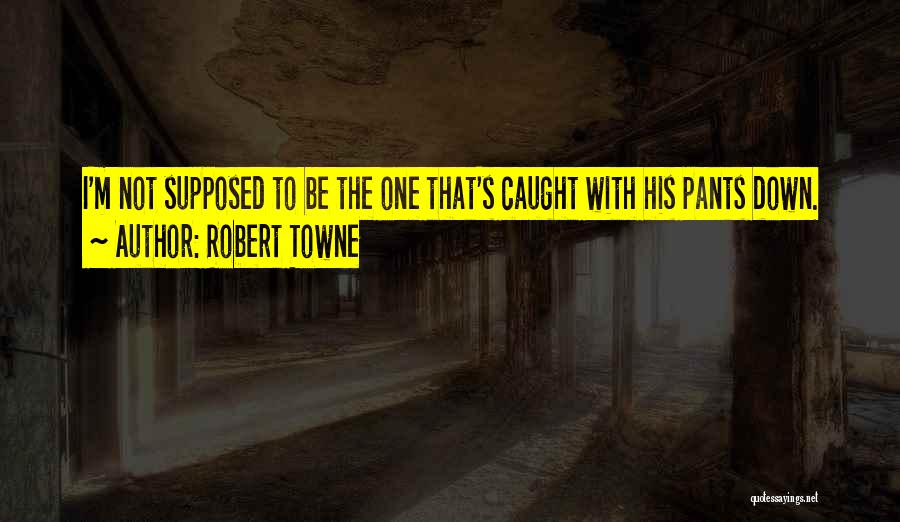 Robert Towne Quotes 283928