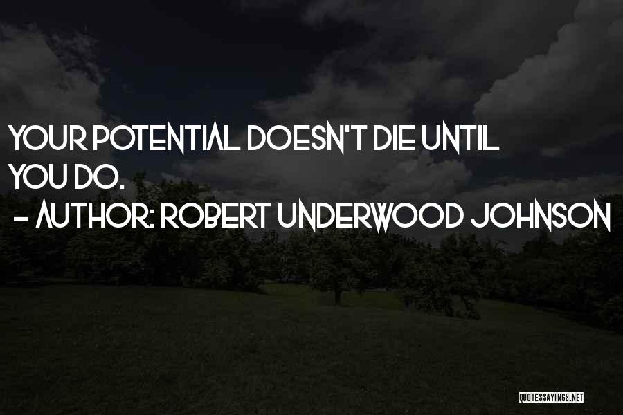Robert Underwood Johnson Quotes 1496787