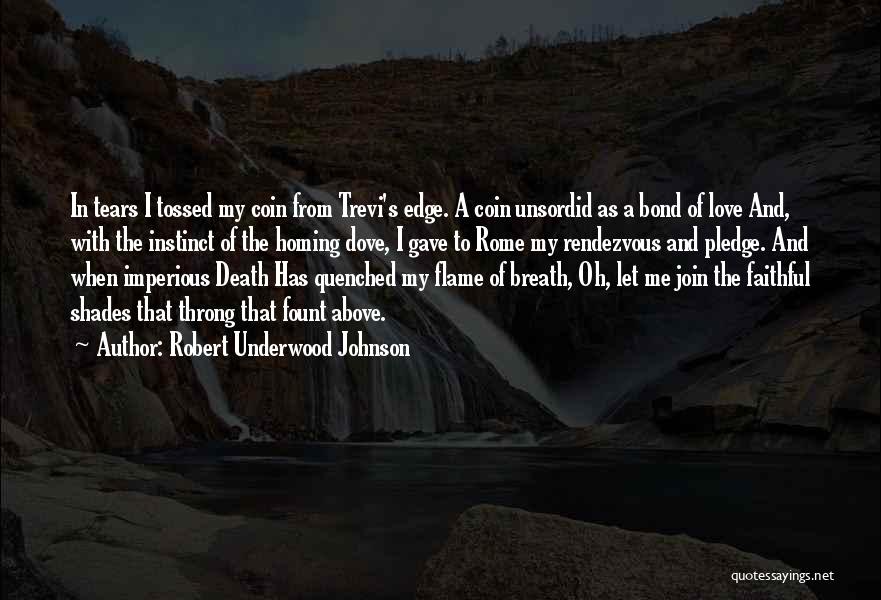 Robert Underwood Johnson Quotes 554763