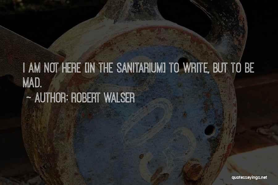 Robert Walser Quotes 1186121