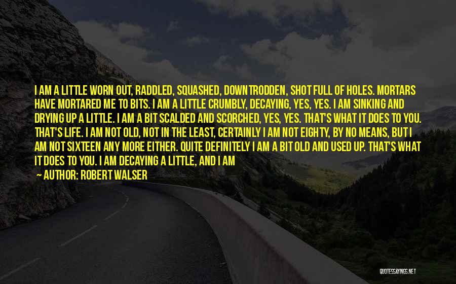 Robert Walser Quotes 526320