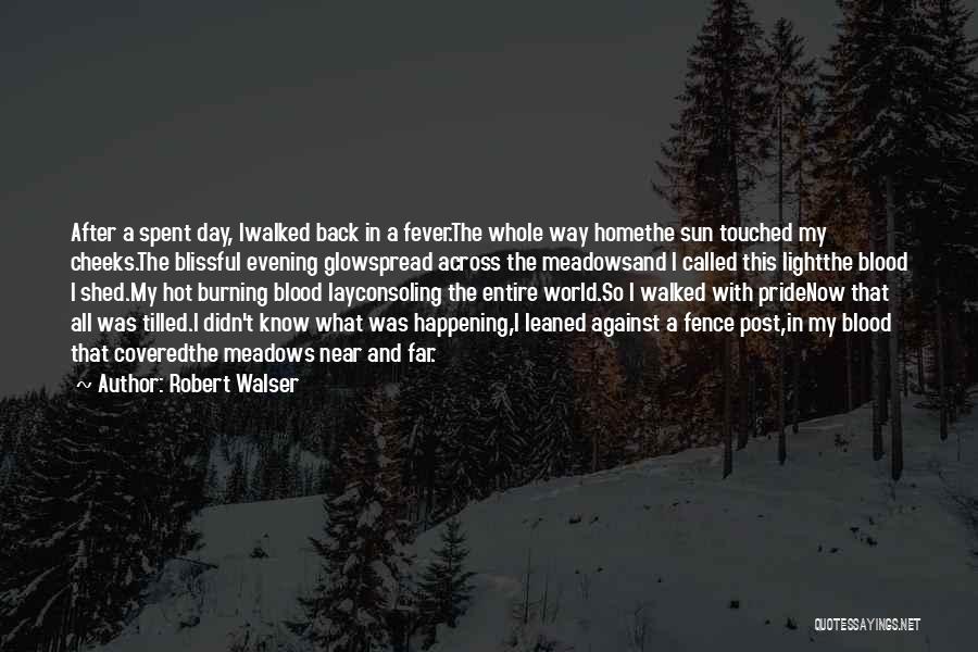 Robert Walser Quotes 744679