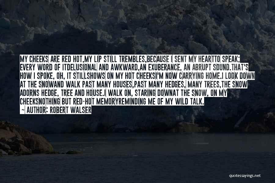 Robert Walser Quotes 951265